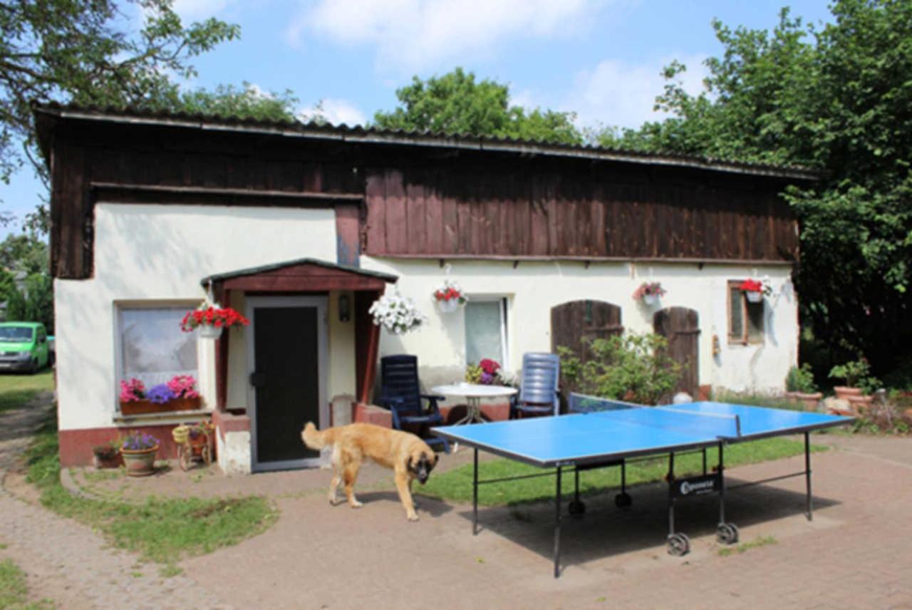 Heidi Apartment Zinnowitz Exterior photo